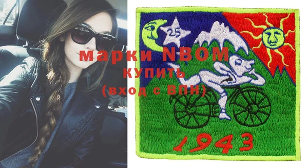 индика Алзамай