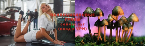 скорость Алексин